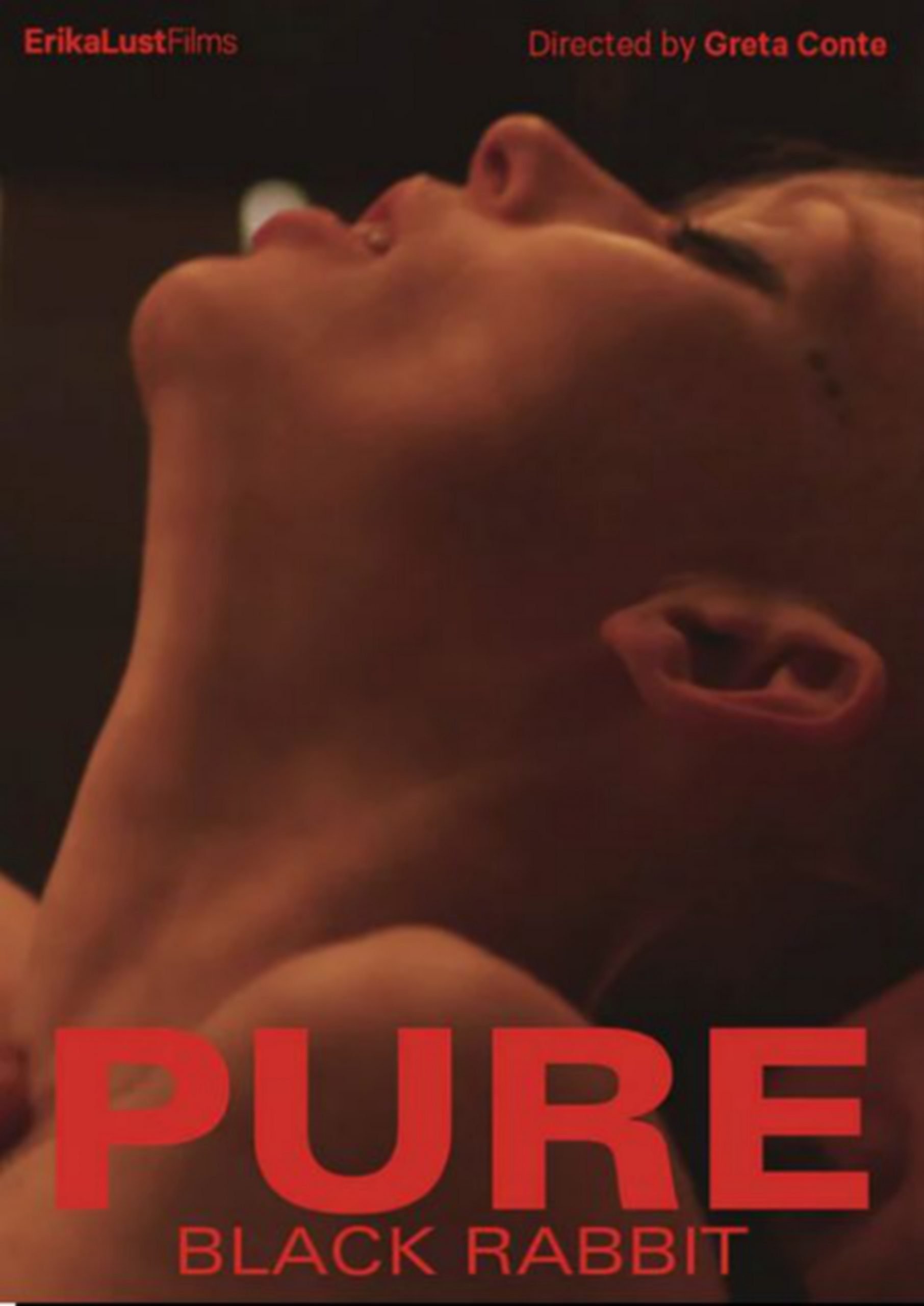 Pure Black Rabbit (2018)